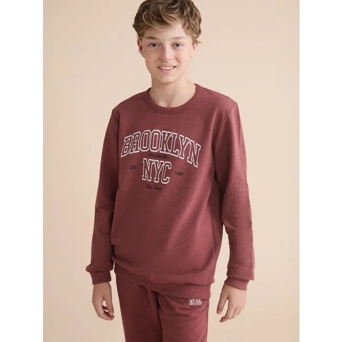 LCW Kids Kahverengi Bisiklet Yaka Erkek Çocuk Sweatshirt