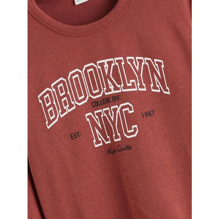 LCW Kids Kahverengi Bisiklet Yaka Erkek Çocuk Sweatshirt