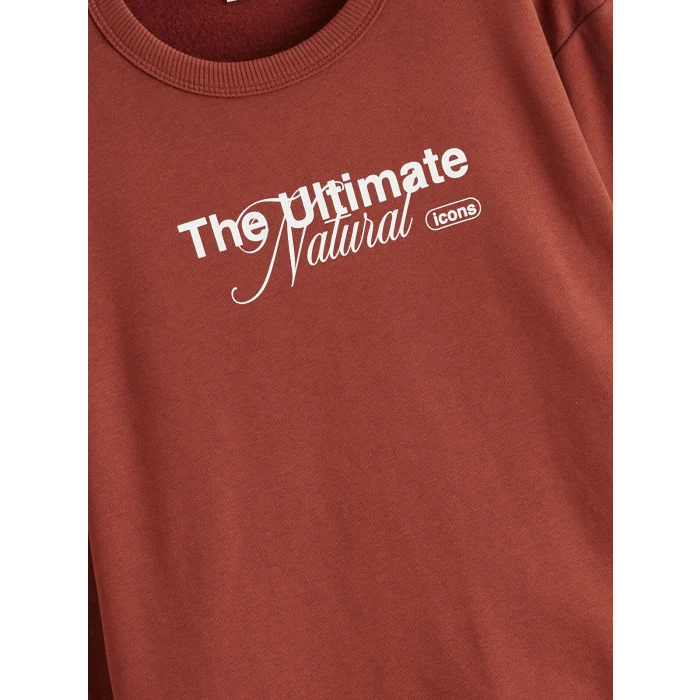 LCW Kids Turuncu Bisiklet Yaka Erkek Çocuk Kalın Sweatshirt