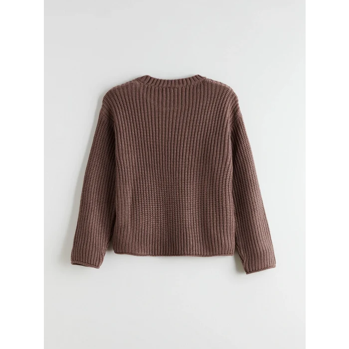 LCW Kids Kahverengi Bisiklet Yaka Kız Çocuk Triko Kazak