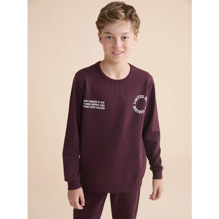 LCW Kids Mürdüm Bisiklet Yaka Erkek Çocuk Sweatshirt