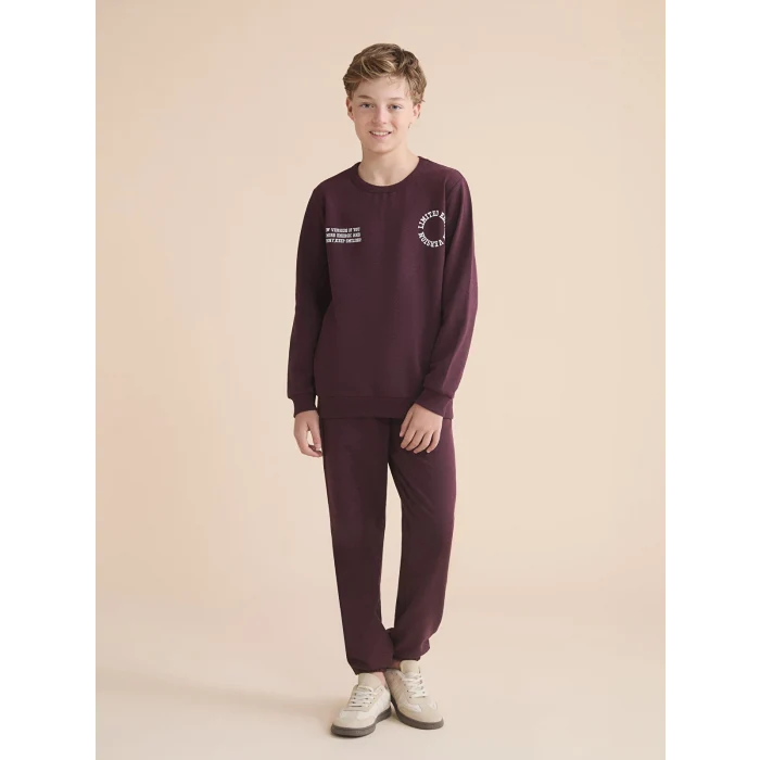 LCW Kids Mürdüm Bisiklet Yaka Erkek Çocuk Sweatshirt