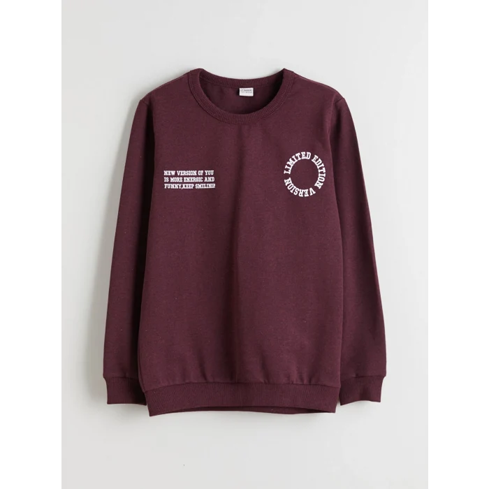 LCW Kids Mürdüm Bisiklet Yaka Erkek Çocuk Sweatshirt