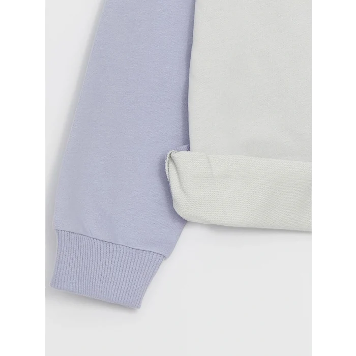 LCW baby Gri Bisiklet Yaka Baskılı Erkek Bebek Sweatshirt