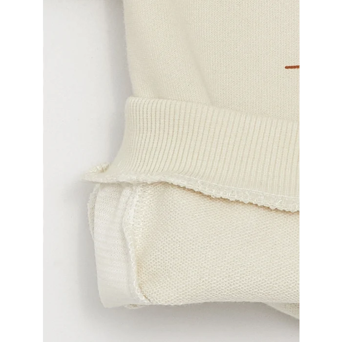 LCW baby Gri Bisiklet Yaka Uzun Kollu Baskılı Erkek Bebek Sweatshirt