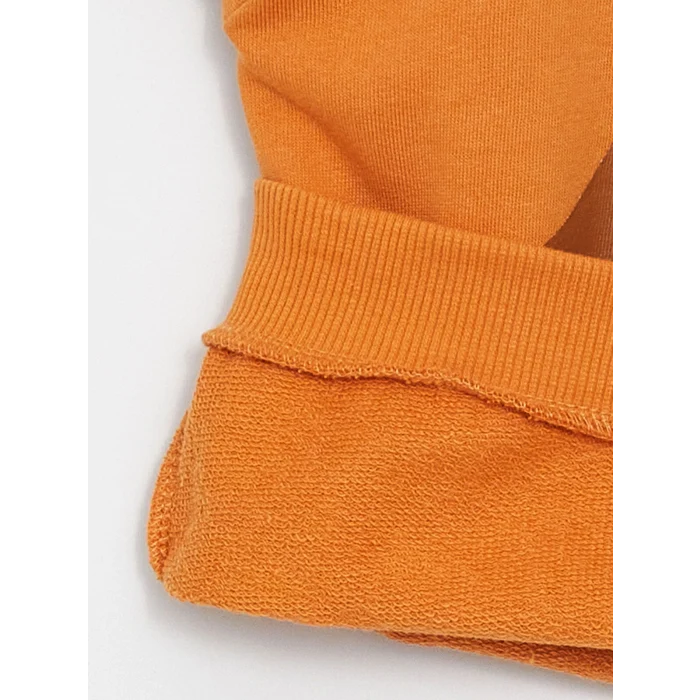 LCW baby Turuncu Bisiklet Yaka Baskılı Uzun Kollu Erkek Bebek Sweatshirt 2li