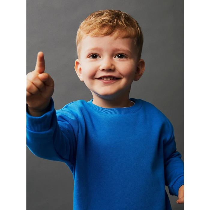 LCW baby Gri Bisiklet Yaka Uzun Kollu Erkek Bebek Sweatshirt 2li