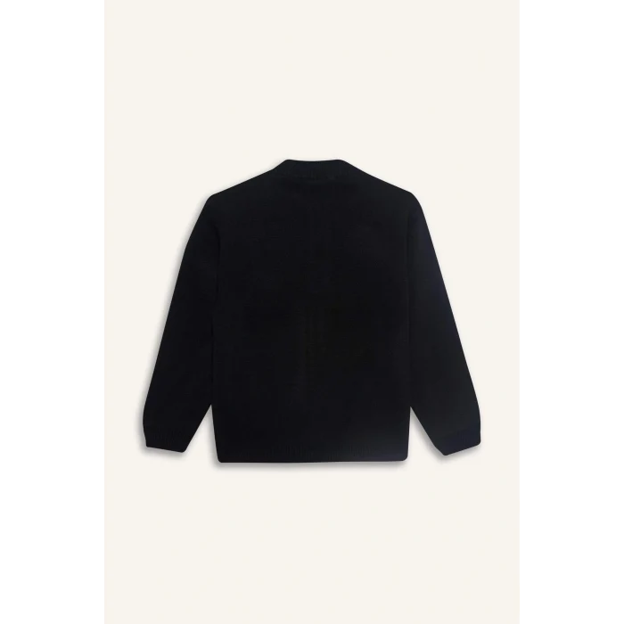 Defacto F0817A8BK27 Siyah Erkek Çocuk Yarım Fermuarlı Hırka