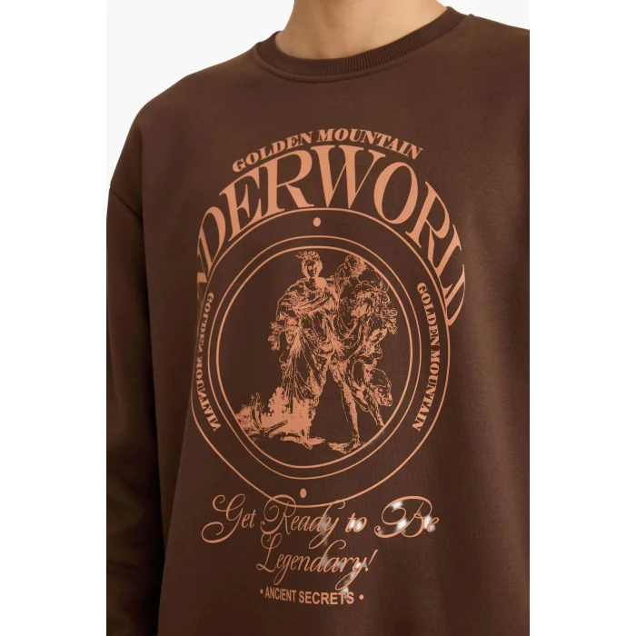 Defacto F2111AXBN539 Kahve Boxy Fit Bisiklet Yaka Baskılı Sweatshirt