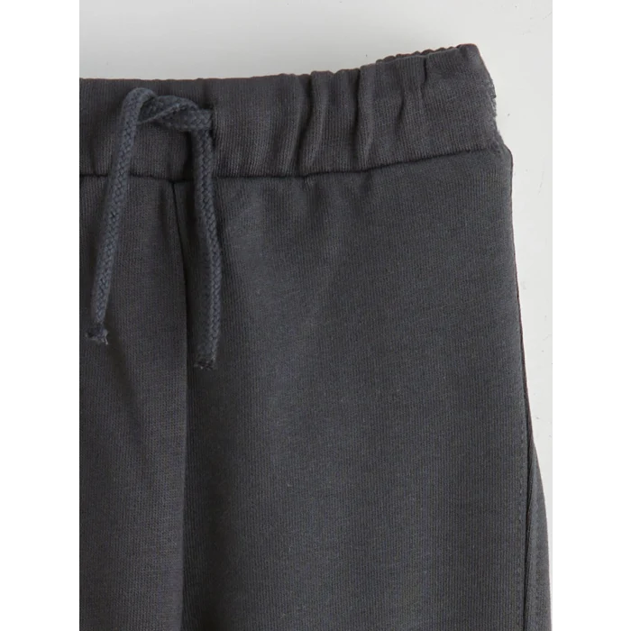 LCW baby Gri Dinozor Baskılı Erkek Bebek Sweatshirt ve Eşofman Altı