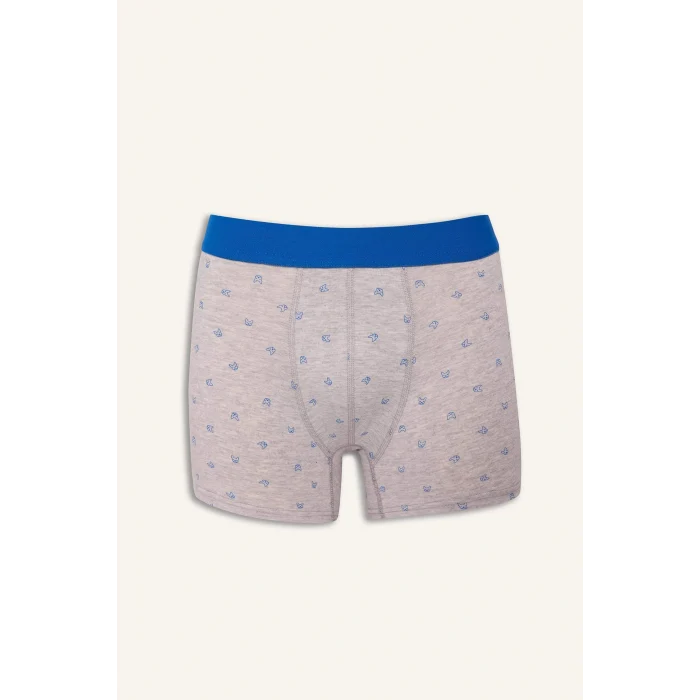 Defacto G4673AXBE103 Mavi Regular Fit Baskılı 3lü Boxer