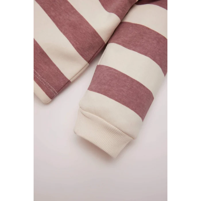 Defacto D6676A5PN429 Pembe Kız Bebek Bebe Yaka İçi Yumuşak Tüylü Çizgili Sweatshirt