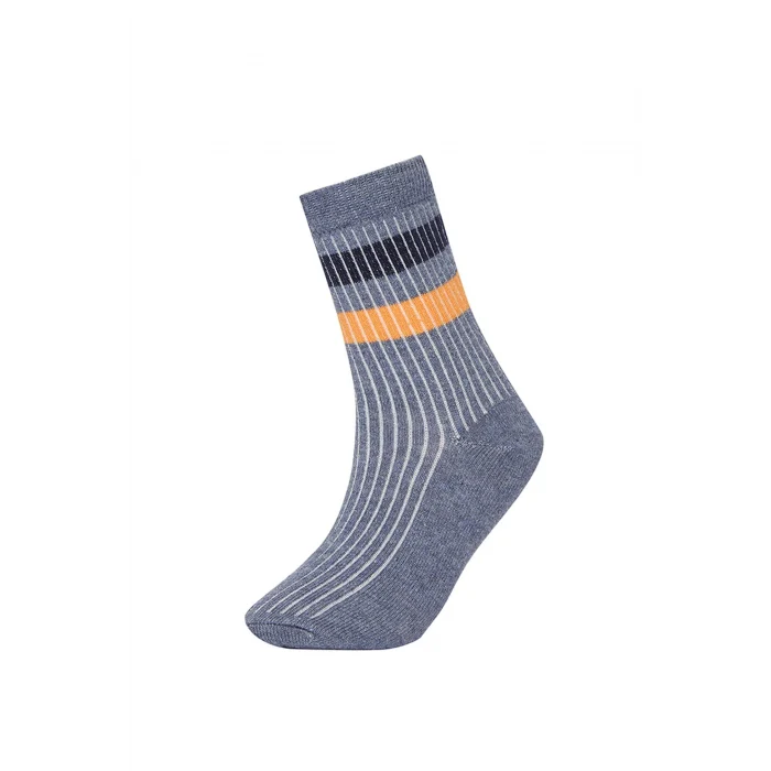 Defacto V8199A6KR1 Çok Renkli Erkek Çocuk 5li Pamuklu Çember Desenli Uzun Çorap