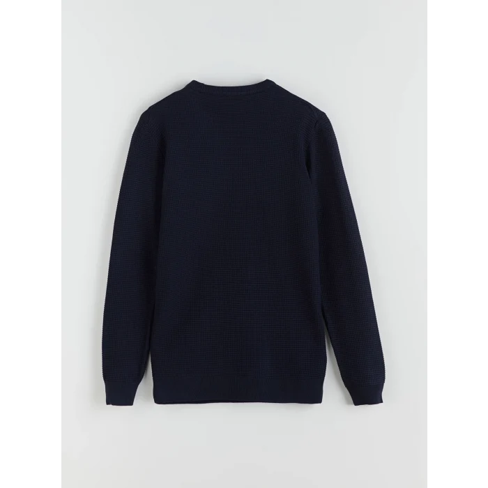 LCW Vision Lacivert Bisiklet Yaka Kareli Erkek Triko Kazak