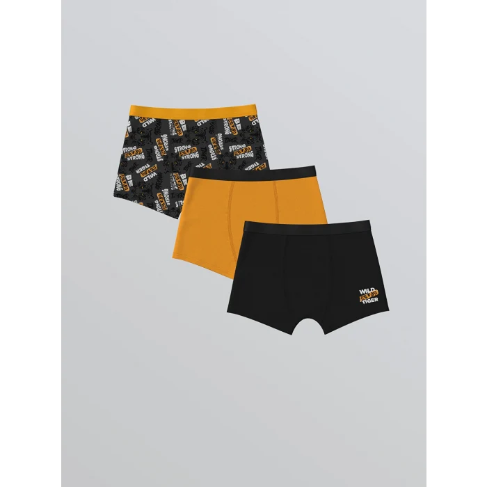 LCW Kids Gri Baskılı Erkek Çocuk Boxer 3lü