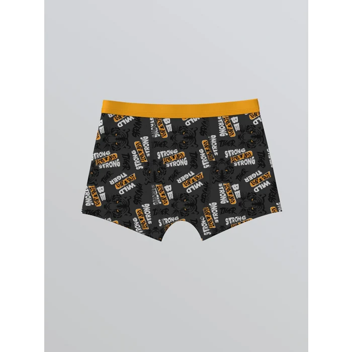 LCW Kids Gri Baskılı Erkek Çocuk Boxer 3lü