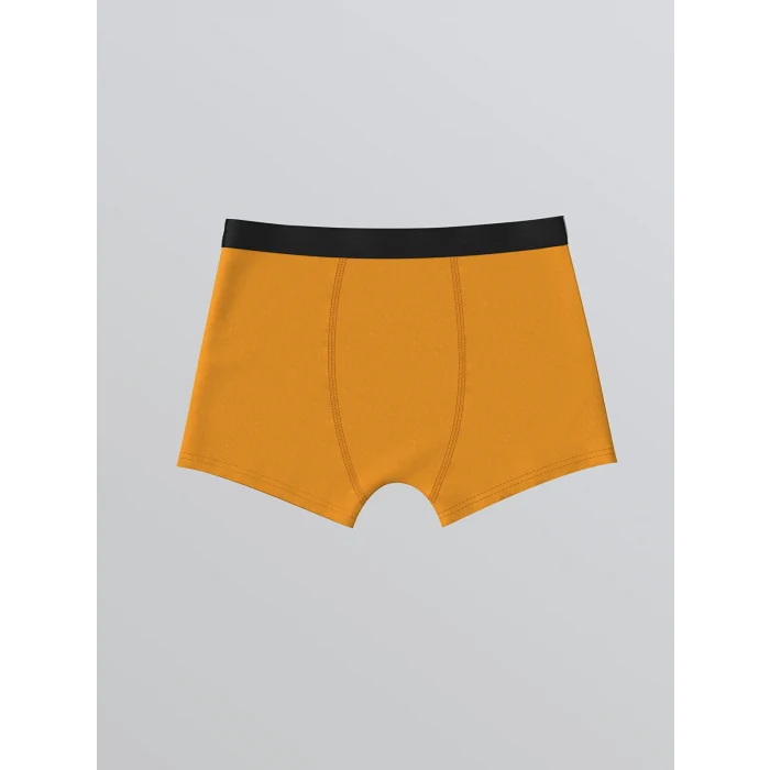LCW Kids Gri Baskılı Erkek Çocuk Boxer 3lü