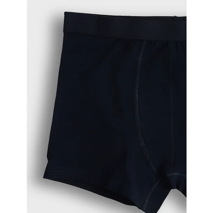 LC WAIKIKI Lacivert Standart Kalıp Pamuklu Esnek Erkek Boxer 3lü