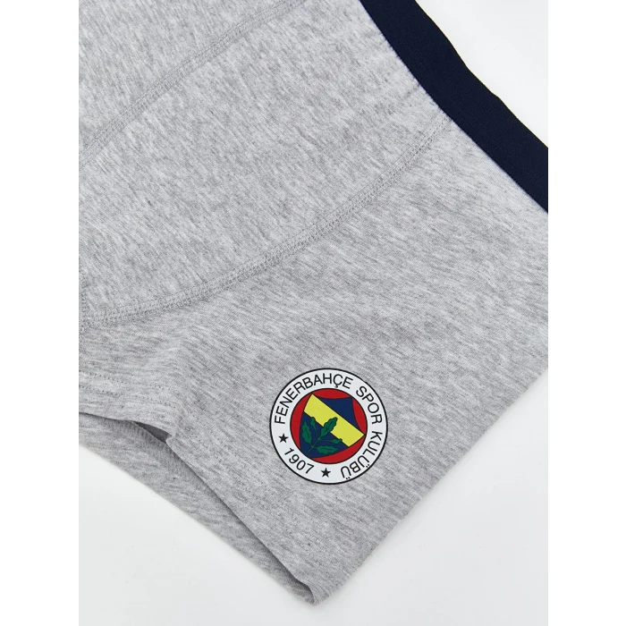 LCW Kids Lacivert Fenerbahçe Baskılı Erkek Çocuk Boxer 2li
