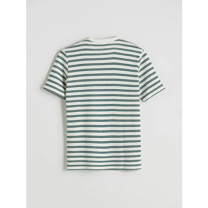 XSIDE Yeşil Bisiklet Yaka Çizgili Penye Erkek Tişört