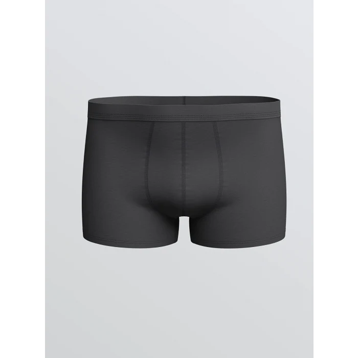 LC WAIKIKI Antrasit Rahat Kalıp Pamuklu Esnek Erkek Boxer 3lü