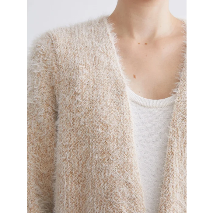 LCWAIKIKI Classic Kahverengi Şal Yaka Renk Bloklu Kadın Triko Hırka