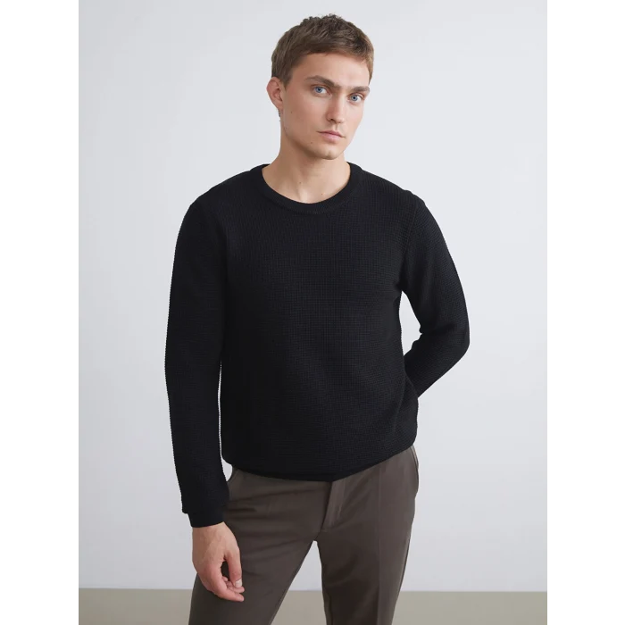 LCW Vision Siyah Bisiklet Yaka Kareli Erkek Triko Kazak