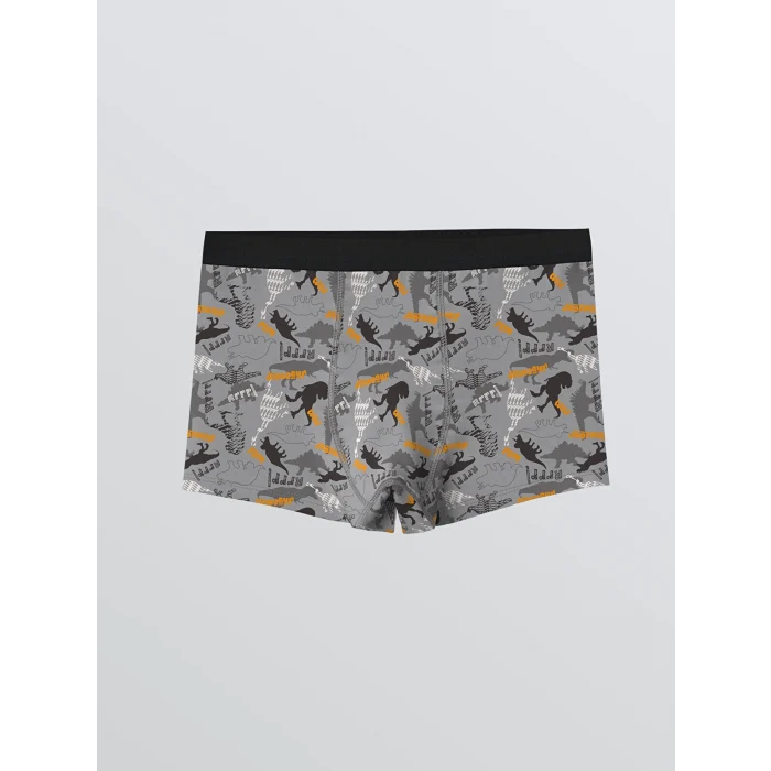 LCW Kids Gri Baskılı Erkek Çocuk Boxer 3lü