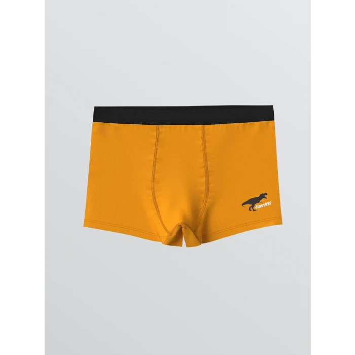 LCW Kids Gri Baskılı Erkek Çocuk Boxer 3lü