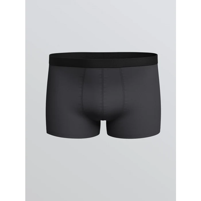 LC WAIKIKI Gri Standart Kalıp Pamuklu Esnek Erkek Boxer 3lü