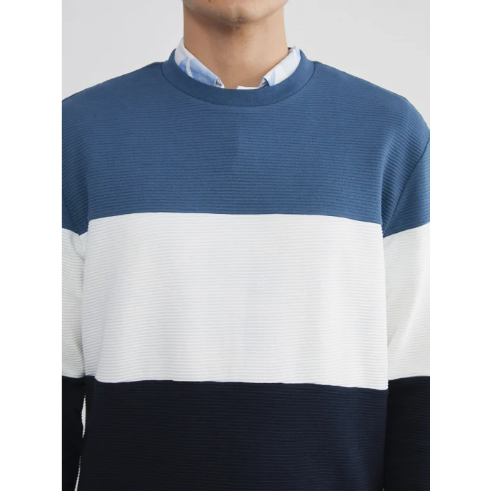 LCW Vision Mavi Bisiklet Yaka Renk Bloklu Erkek Sweatshirt