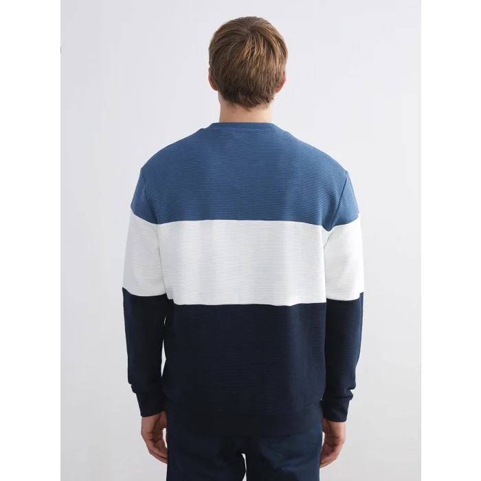 LCW Vision Mavi Bisiklet Yaka Renk Bloklu Erkek Sweatshirt