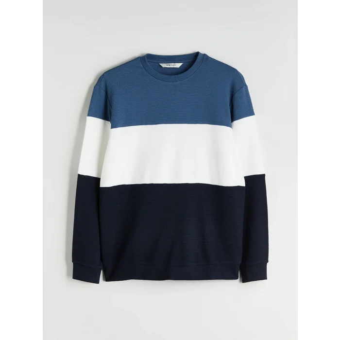 LCW Vision Mavi Bisiklet Yaka Renk Bloklu Erkek Sweatshirt