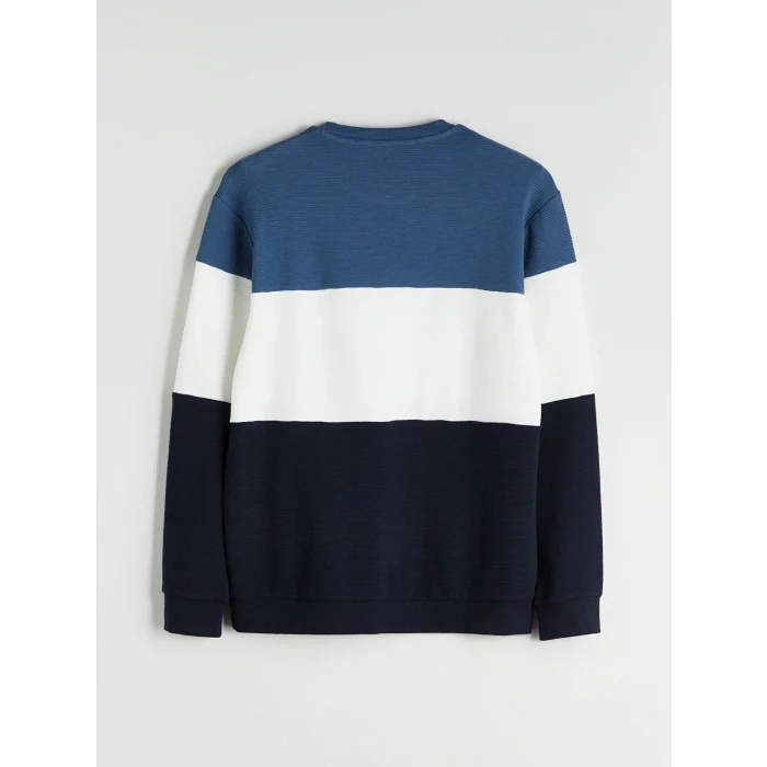 LCW Vision Mavi Bisiklet Yaka Renk Bloklu Erkek Sweatshirt