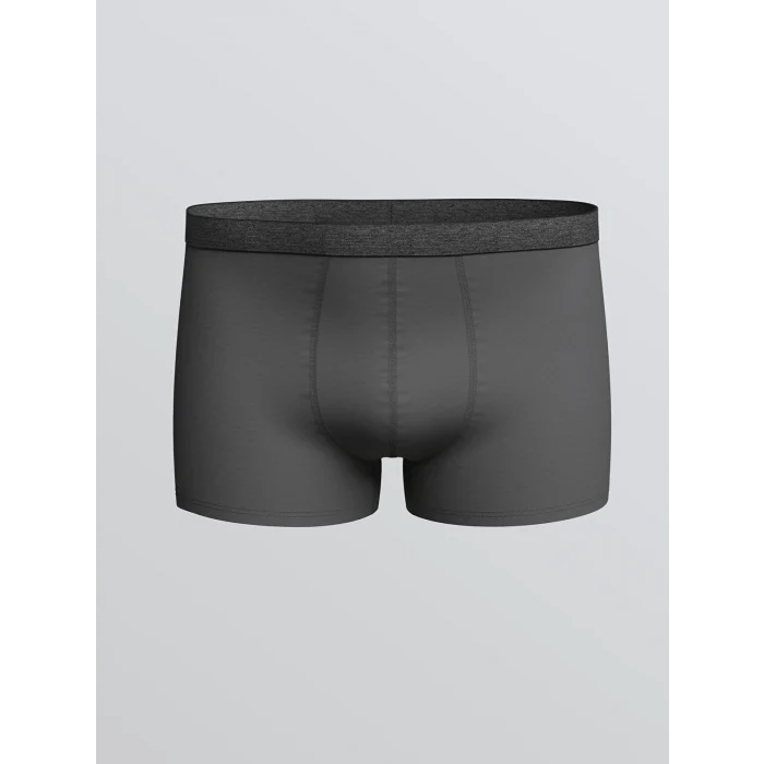 LC WAIKIKI Antrasit Standart Kalıp Pamuklu Esnek Erkek Boxer 3lü