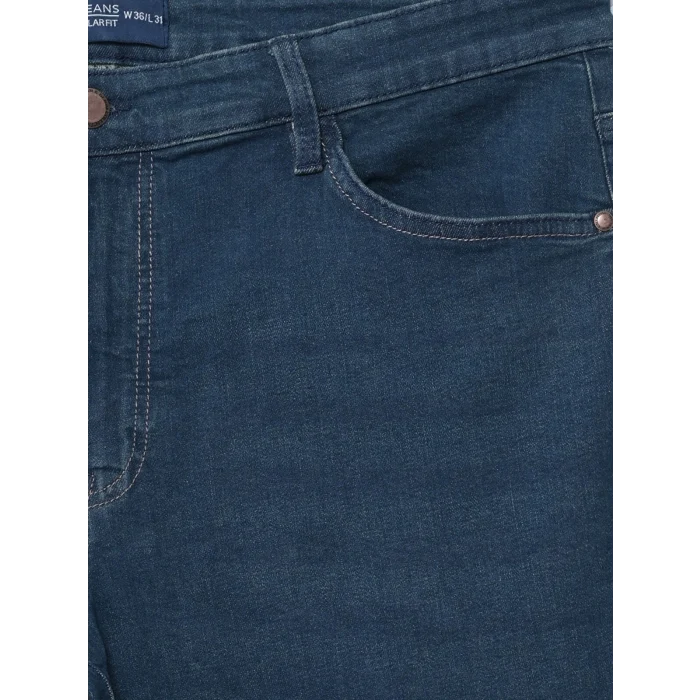 LCW Jeans Yeşil Büyük Beden Regular Fit Erkek Jean Pantolon