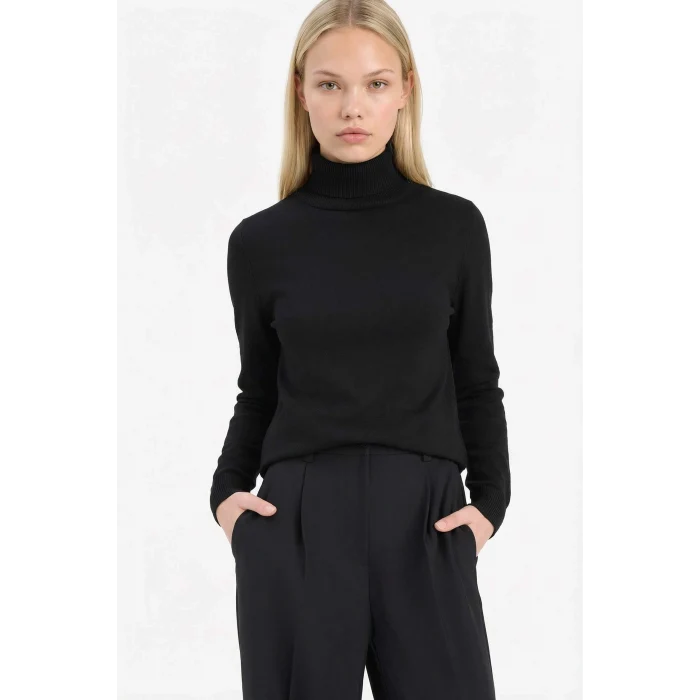 Defacto E8498AXBK27 Siyah Regular Fit Yarım Balıkçı Yaka Triko Kazak