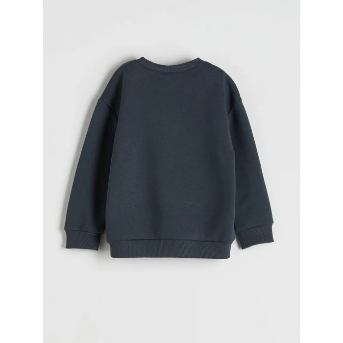 LCW Kids Antrasit Bisiklet Yaka Dinozor Baskılı Erkek Çocuk Sweatshirt ve Eşofman Altı