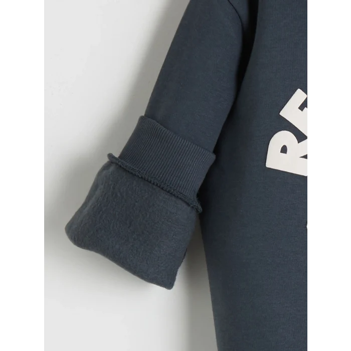 LCW Kids Antrasit Bisiklet Yaka Dinozor Baskılı Erkek Çocuk Sweatshirt ve Eşofman Altı