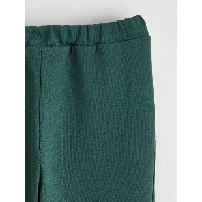 LCW baby Yeşil Baskılı Erkek Bebek Sweatshirt ve Pantolon