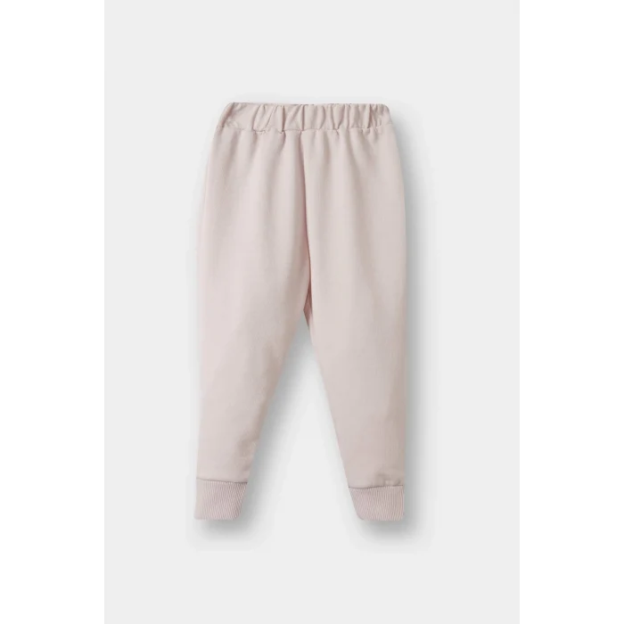 Defacto E8358A5PR306 Mor Kız Bebek Sweatshirt Kumaşı 2li Takım