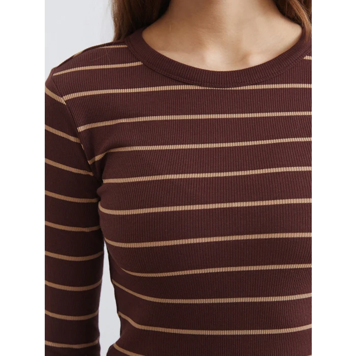 LCWAIKIKI Basic Kahverengi Bisiklet Yaka Çizgili Kadın Body