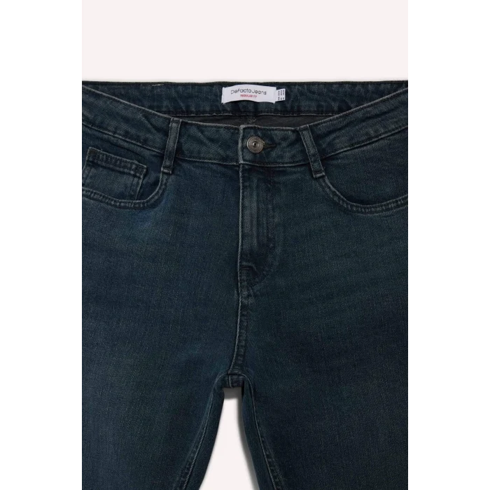 Defacto F9778AXNM41 Yeşil Sergio Regular Fit Jean Pantolon
