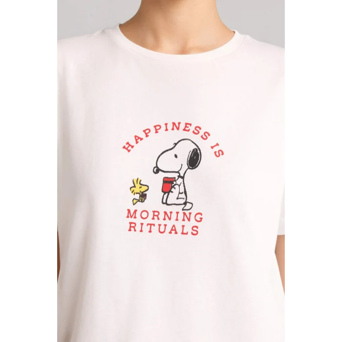 Defacto G8320AXGR93 Gri Snoopy Regular Fıt Kısa Kollu 2li Takım