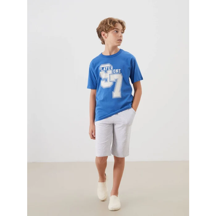 LCW Kids Mavi Bisiklet Yaka Erkek Çocuk Tişört