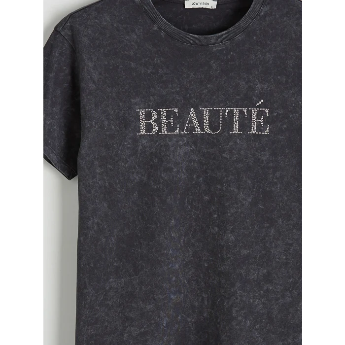 LCW Vision Antrasit Bisiklet Yaka Taş Baskılı Kadın Tişört