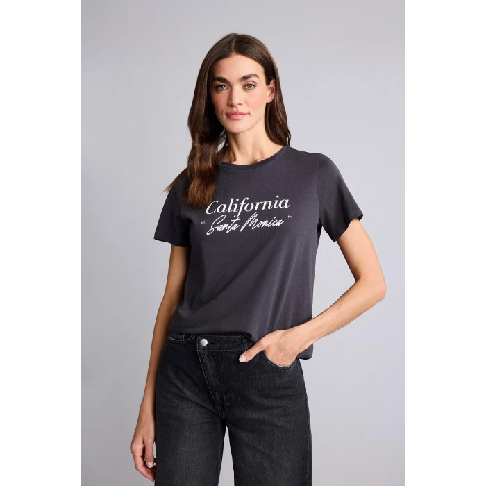 Defacto H1408AXAR191 Antrasit Regular Fıt Bisiklet Yaka Penye Kısa Kollu Tişört