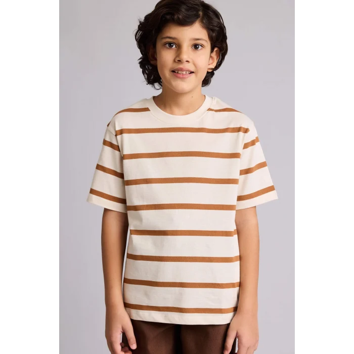 Defacto D7864A8BN301 Kahve Çizgili Tişört Erkek Çocuk