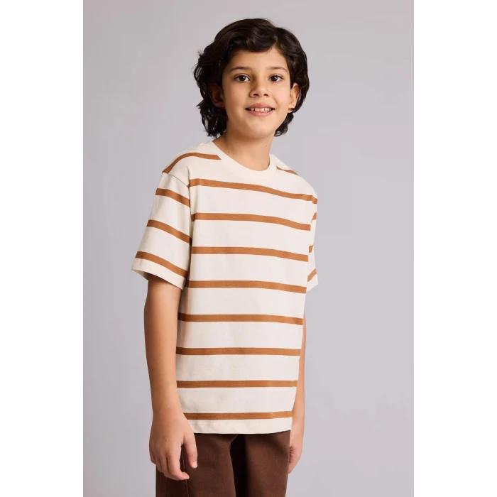 Defacto D7864A8BN301 Kahve Çizgili Tişört Erkek Çocuk