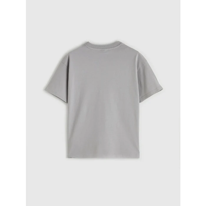 LCW Kids Gri Bisiklet Yaka Basic Erkek Çocuk Tişört